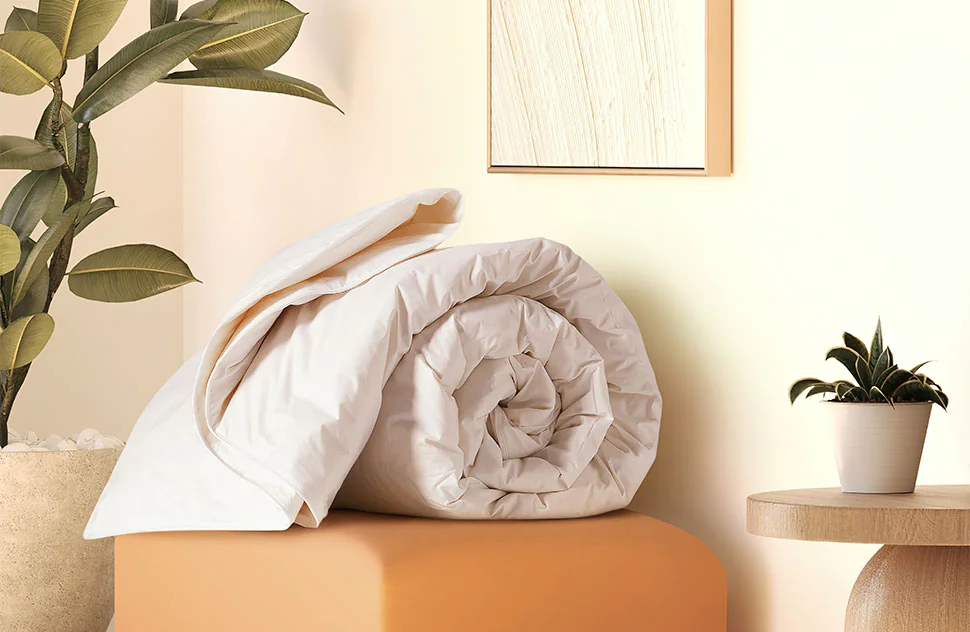 Down Duvet