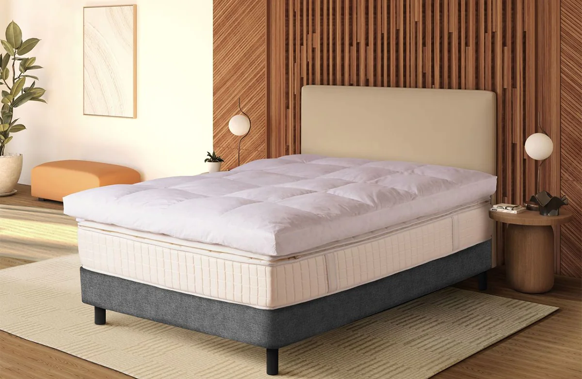 Featherbed Protector