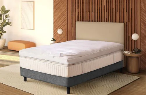 Featherbed Protector 1