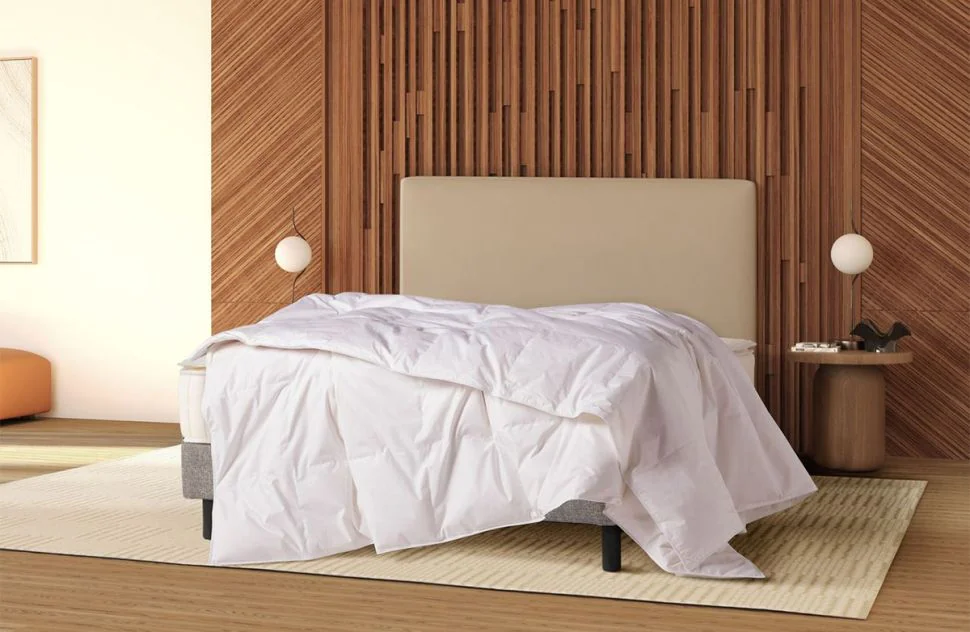 Down Duvet 1